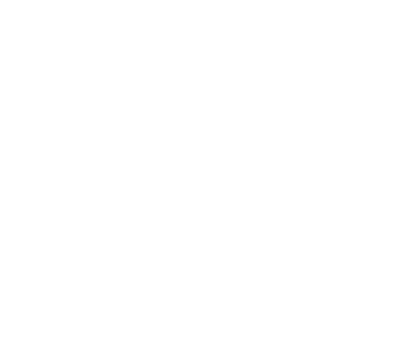 CPango and Partners logo white
